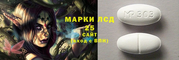 PSILOCYBIN Алзамай