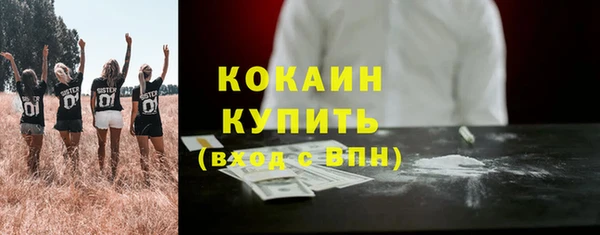 ГАЛЛЮЦИНОГЕННЫЕ ГРИБЫ Касимов